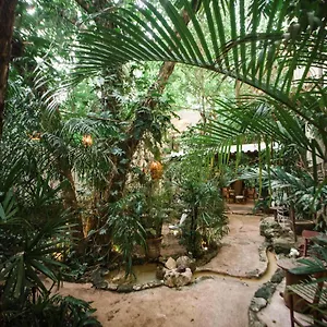https://hotel-la-semilla.allrivieramayahotels.com